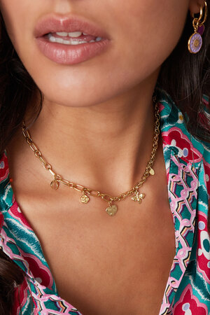 Chain links with charms - gold h5 Picture3